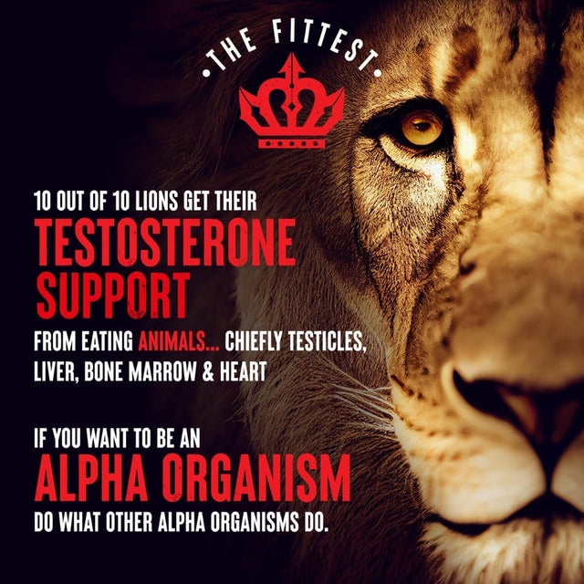 King — Supports Manhood, Alpha Virility, Testosterone and “Top King” Status… Loaded W/Testicle, Liver, Bone Marrow and Heart… “Strength Makes All Other Values Possible” | the Fittest