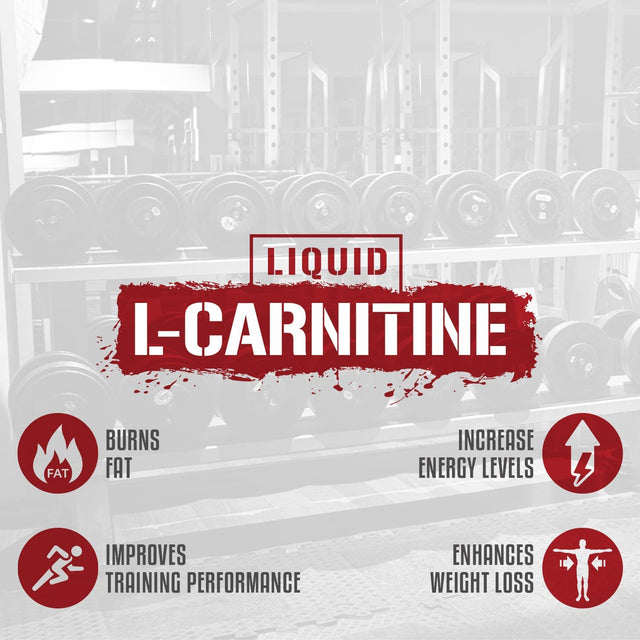 5% Nutrition Rich Piana Liquid L-Carnitine 3150 | Premium 4 Source Blend + GBB, the Super Carnitine (Watermelon Candy)