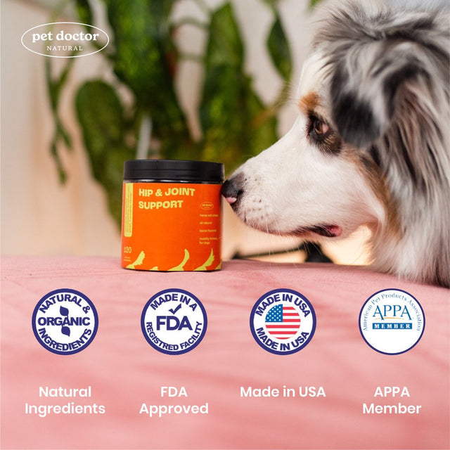 Hip& Joint Support Supplement for Dogs with Glucosamine, Chondroitin & MSM for Arthritis, Inflammation, Mobility Support -Made in USA-120 Chews