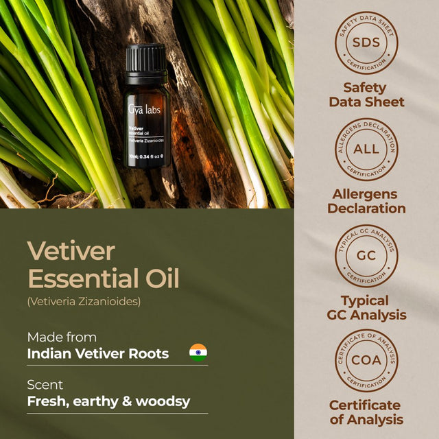 Gya Labs Calming Vetiver Essential Oil for Diffuser & Aromatherapy - Premium Vetiver Oil for Body Comfort - Vetiver Essential Oil Organic for Soaps & Candles (0.34 Fl Oz)