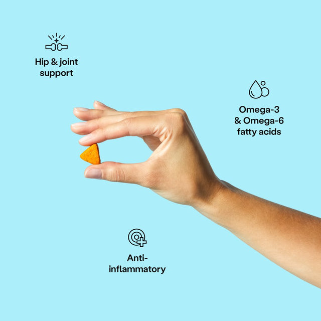 Hip Joint Dog Supplements by Wild Earth