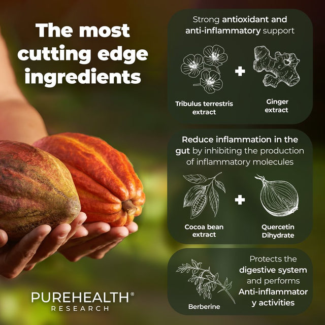 Gut Antioxidant Formula Gut Health Supplements - Antioxidant Supplements for Gut Health and Energy - anti Inflammatory Supplement by Purehealth Research, 3 Bottles