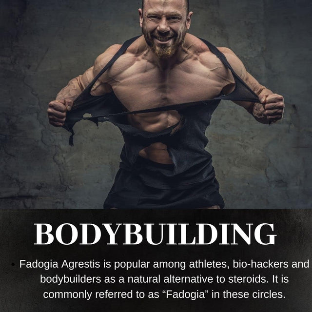 Fadogia Agrestis, 60 Capsules | 500Mg Each, 10: 1 Extract, Promotes Healthy Testosterone Levels & Athletic Performance