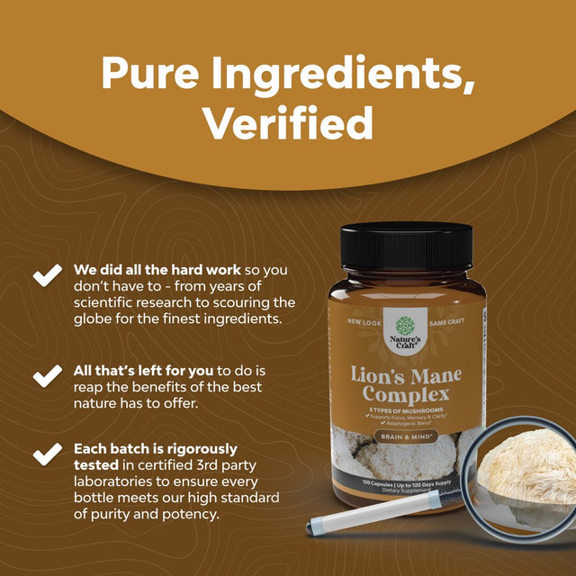 Master Mushroom Complex Nootropic Supplement - 5-In-1 Lion'S Mane Mushroom Supplement with Chaga Maitake Shiitake and Reishi Mushrooms Blend - Brain Booster Lion'S Mane Supplement - 120 Capsules