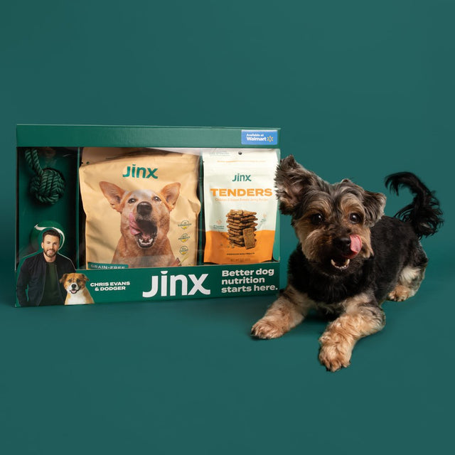 Jinx & Chris Evans Dog Dream Box