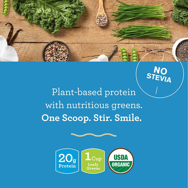 Amazing Grass Vegan Protein & Kale Powder: 20G of Organic Protein + 1 Cup Leafy Greens per Serving, Vanilla, 15 Servings