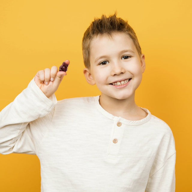 Garden of Life Dr. Formulated Kids Study Support Gummies | Drug Free Supplement | 60Ct