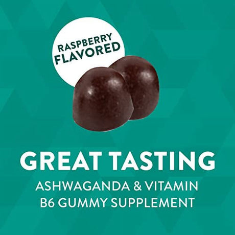Nature’S Way Stress Defense Stress Supplement*, with Ashwagandha, Vitamin B6, Supports Balanced Cortisol Response*, Raspberry Flavored, 90 Gummies