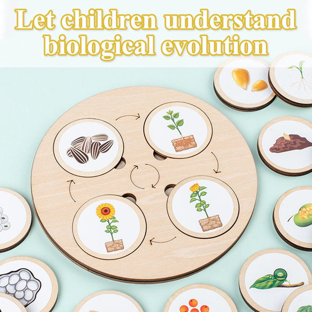 Lieonvis Wooden Life Cycle Tray Children Montessori Life Cycle Puzzle Kit of Animals Plants and Insects Early Educational Jigsaw Puzzles Animal Figures Matching Game for Preschool Kids Gift