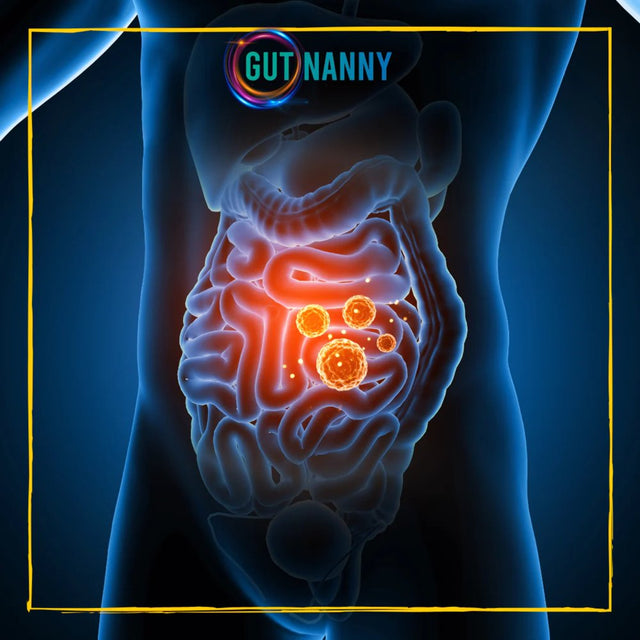 Gut Nanny Colon Cleanser 15 Day Cleanse, Colon Cleanse Detox, 30 Capsules