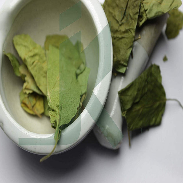 Gymnema Leaf Powder 1 Pound / 16 Oz (Gudmar / Gymnema Sylvestre ) | Healthy Digestion & Nutrient Absorption | Natural Supplement for Blood Sugar Control Metabolism | Anti-Diabetic & Immunity Booster.