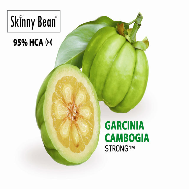 Garcinia Cambogia, Garcinia Supplement 95 HCA, Diet Pills, Fat Burner, Weight Loss Pills