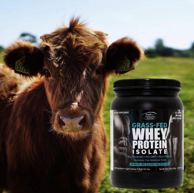 Fortifeye Super Protein New Zealand Grass Fed Whey Protein, Non Denatured, Vanilla, 1 Pack