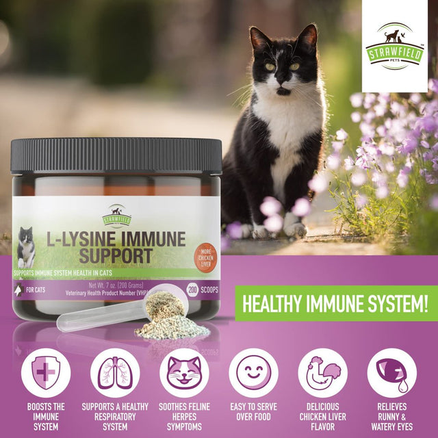 L-Lysine for Cats Supplement Powder Granules for Cat Cold, Sneezing, Congestion, Running Nose, Respiratory, Allergy Relief , Cats & Kittens of All Ages , Cat Health Supplies
