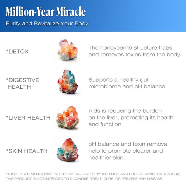 Full Body Detox Cleanse - Zeolite Powder Sorbolit Supplement by Todicamp Ultra Fine 1-2 �M 3X Activated - 200 Days Supply