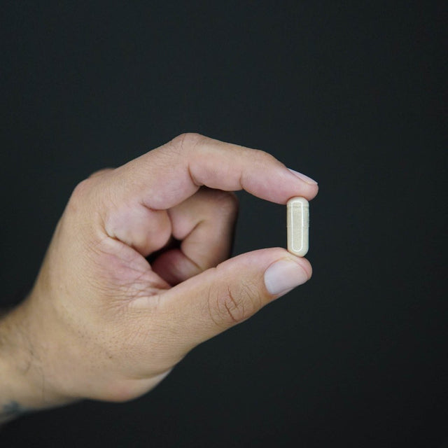 Natural Sleep Aid (Melatonin 10Mg, Chamomile, Lemon Balm) Primal Pharm SLEEP