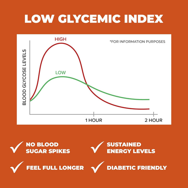 Keep Healthy Low Glycemic Bar - Chocolate Fudge - 12G Plant Based Protein, Low Sugar, Organic, Vegan, Gluten Free, Soy Free, Dairy Free Protein Bar (12 Bars)