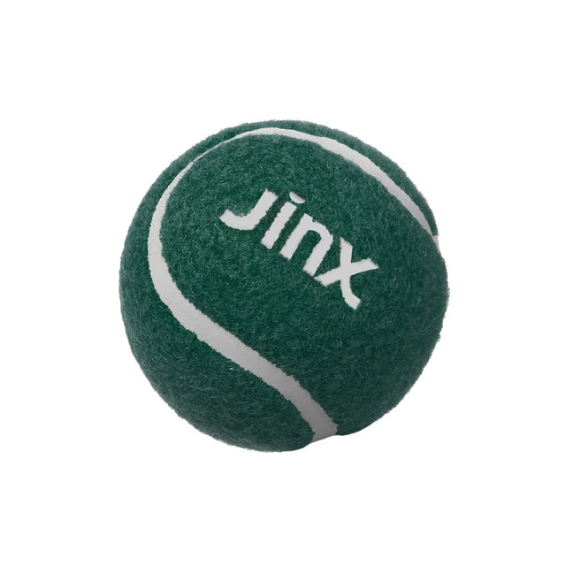 Jinx & Chris Evans Dog Dream Box