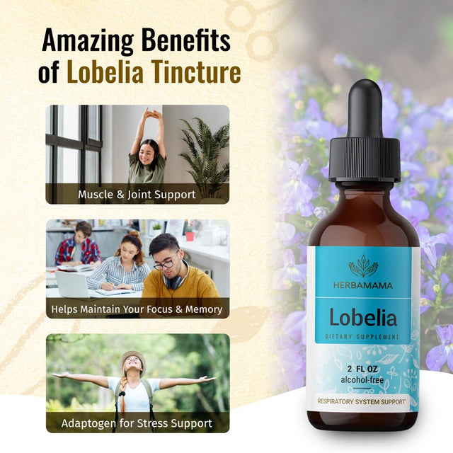 HERBAMAMA Lobelia Liquid Extract - Organic Herb Tincture for Lung Health, 2 Fl Oz