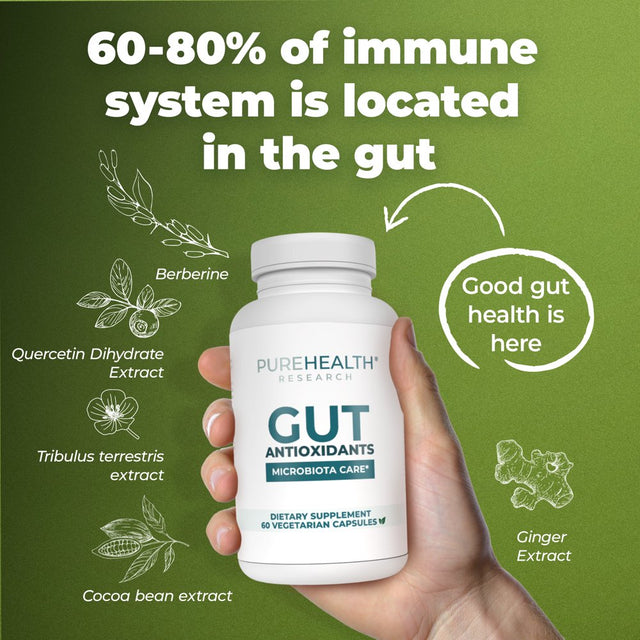 Gut Antioxidant Formula Gut Health Supplements - Antioxidant Supplements for Gut Health and Energy - anti Inflammatory Supplement by Purehealth Research, 3 Bottles