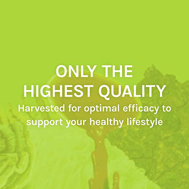 Host Defense, Maitake Extract, Mushroom Supplement, Plain, 1 Fl Oz