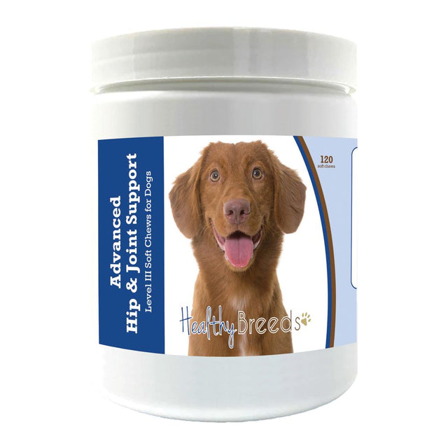 Healthy Breeds Nova Scotia Duck Tolling Retriever Advanced Hip & Joint Support Level III Soft Chews for Dogs 120 Count