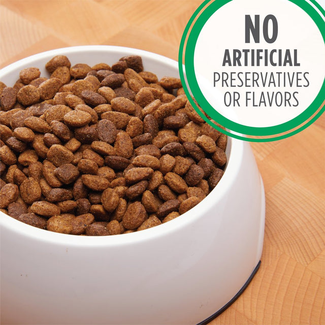 IAMS Chicken & Whole Grains Dry Dog Food for Petite & Small Breed Adult Dog, 7 Lb. Bag