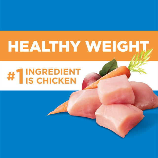 IAMS Proactive Health Chicken Dry Dog Food, 15 Lb Bag