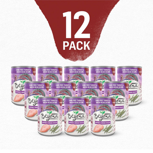 Purina beyond Support Immune Health Wet Dog Food Turkey Green Bean, 12.5 Oz Cans (12 Pack)