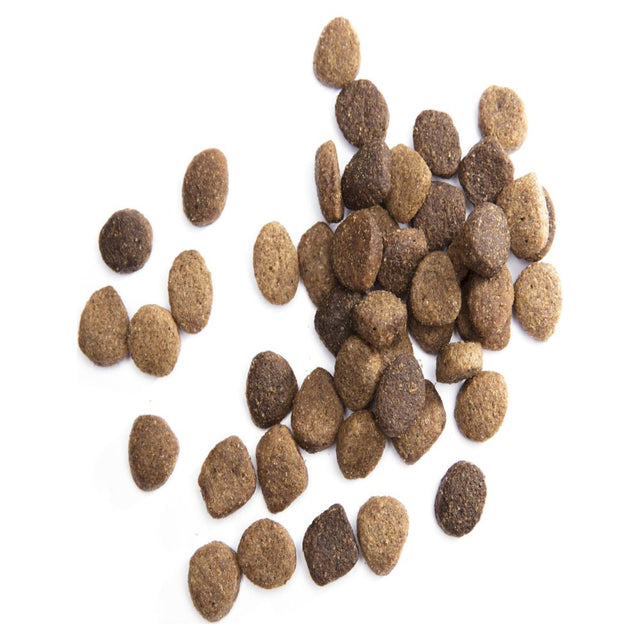 IAMS Adult Large Breed Healthy Dry Dog Food Chicken Dog Kibble, 50 Lb. Bag