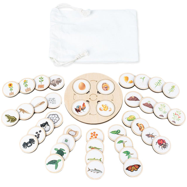 Lieonvis Wooden Life Cycle Tray Children Montessori Life Cycle Puzzle Kit of Animals Plants and Insects Early Educational Jigsaw Puzzles Animal Figures Matching Game for Preschool Kids Gift