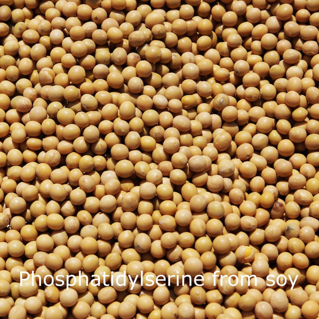 Memormax Brain Supplement for Memory, Focus, Mental Clarity