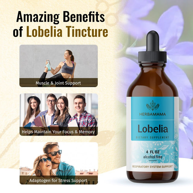 HERBAMAMA Lobelia Liquid Extract - Organic Herb Tincture for Lung Health, 4 Fl Oz