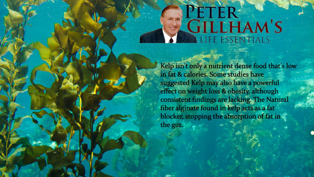 Kelp 150Mg 300 Vegetarian Tablets, Supports Healthy Thyroid Function, Gluten Free, Vegan Friendly. Made in USA by Peter Gillham'S Life Essentials