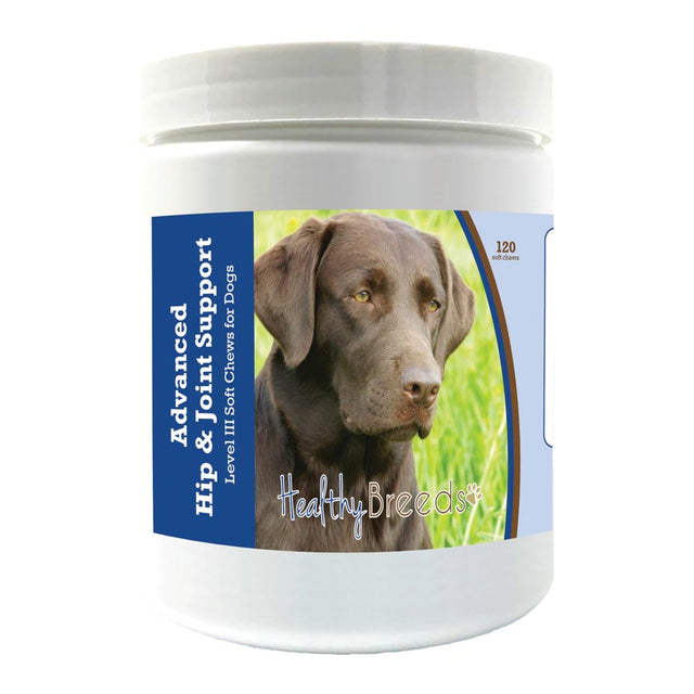 Healthy Breeds Labrador Retriever Advanced Hip & Joint Support Level III Soft Chews for Dogs 120 Count