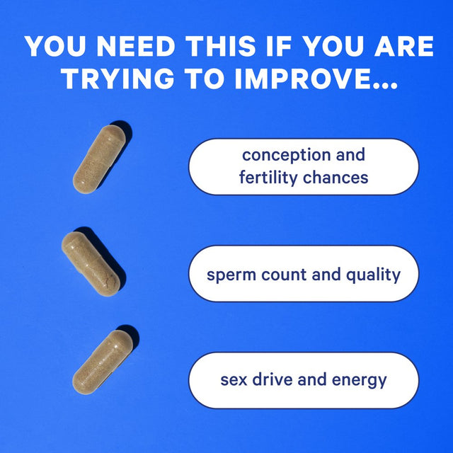 Blue Stork Men'S Fertility Support: Male Fertility Supplements, Zinc & Herbs for Men'S Health, 60 Ct