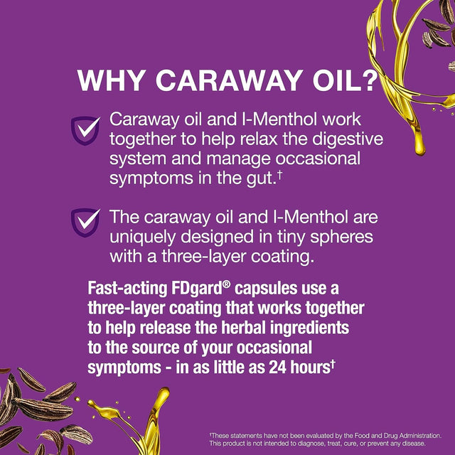 Fdgard Gut Health Supplement, Indigestion, Nausea & Bloating, Upset Stomach, 36 Capsules (Packaging May Vary)