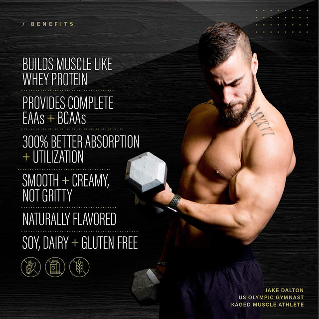 Kaged Plant Protein Powder | Vegan | Cinnamon Roll | Plantein | Organic Pea Protein Powder with Enhanced Absorption | 15 Servings