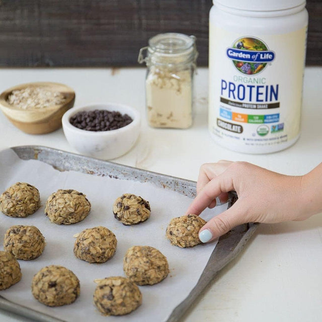 Garden of Life Organic Protein Shake Powder, Chocolate Flavor