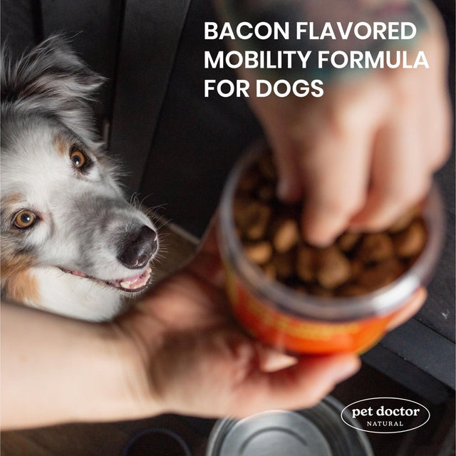 Hip& Joint Support Supplement for Dogs with Glucosamine, Chondroitin & MSM for Arthritis, Inflammation, Mobility Support -Made in USA-120 Chews