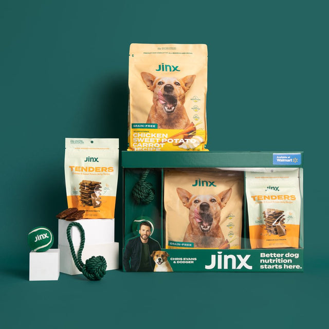 Jinx & Chris Evans Dog Dream Box