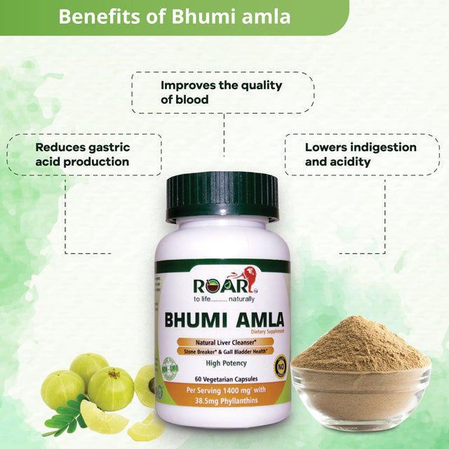 High Potency Bhumi Amla (Phylanthus Niruri) - 700 Mg per Vegetarian Capsule with Standardized Extract of 5% Phyllanthins for Liver Cleanser, Gall Bladder Support and Stone Breaker- 1 Months Supply