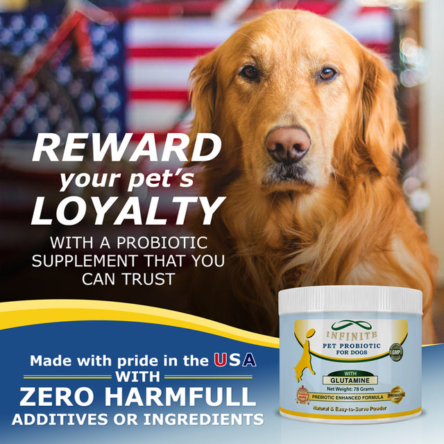 Infinite Pet Essential Probiotic for Dogs, 60 Servings