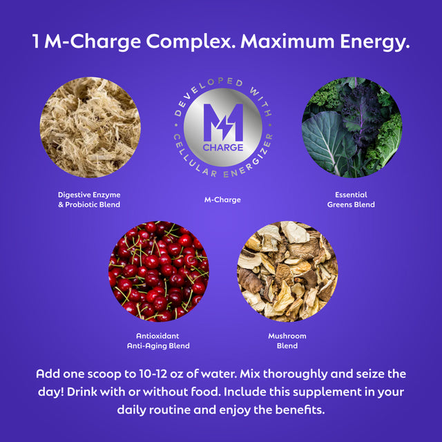 L'Evate You Vitality Daily Greens - Dietary Supplement - Original - 10 Count