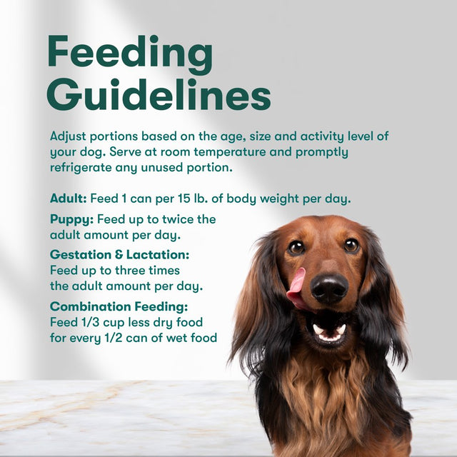 Jinx Chopped Salmon & Chicken Recipe Natural Wet Dog Food, Grain-Free, 13 Oz. Can