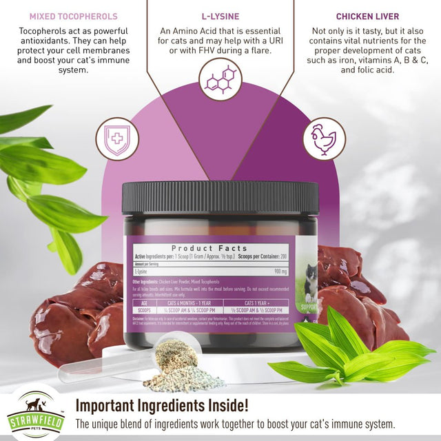 L-Lysine for Cats Supplement Powder Granules for Cat Cold, Sneezing, Congestion, Running Nose, Respiratory, Allergy Relief , Cats & Kittens of All Ages , Cat Health Supplies