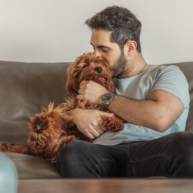 Jinx Salmon, Sweet Potato & Carrot Dry Dog Food, Grain Free, 23.5 Lb. Bag