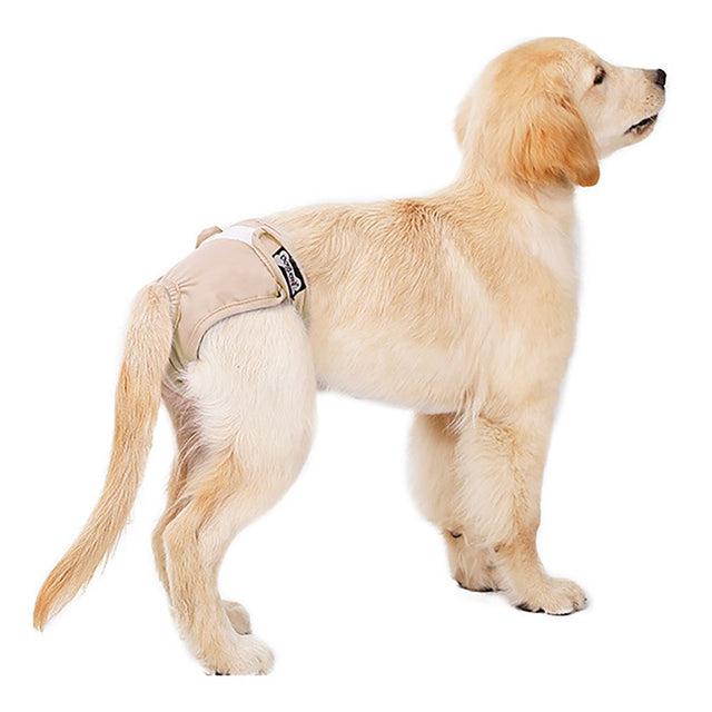 Black and Friday Deals Blueek Dog Physiological Pants Teddy Menstrual Pants Dog Hygiene Diapers Anti-Harassment Estrus Pet Aunt Pants