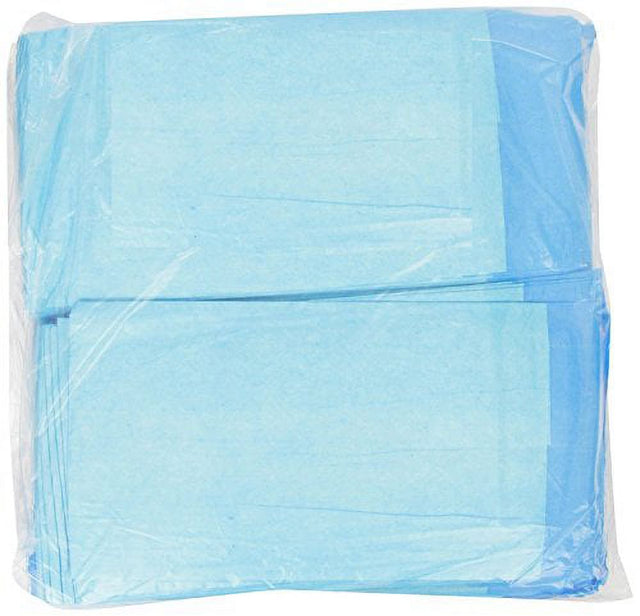 Healthline (Chux) Disposable Underpads 23 X 36, Waterproof Highly Absorbent Bed Pads for Adults, Children and Pets, Large Size, Blue, Count (100/Pack) plus Hand Sanitizing Wipes