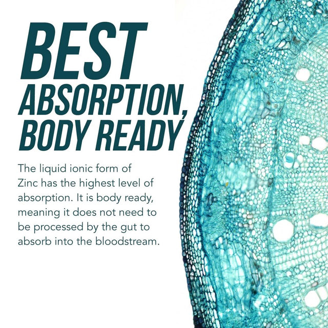 Ionic Zinc Liquid Supplement